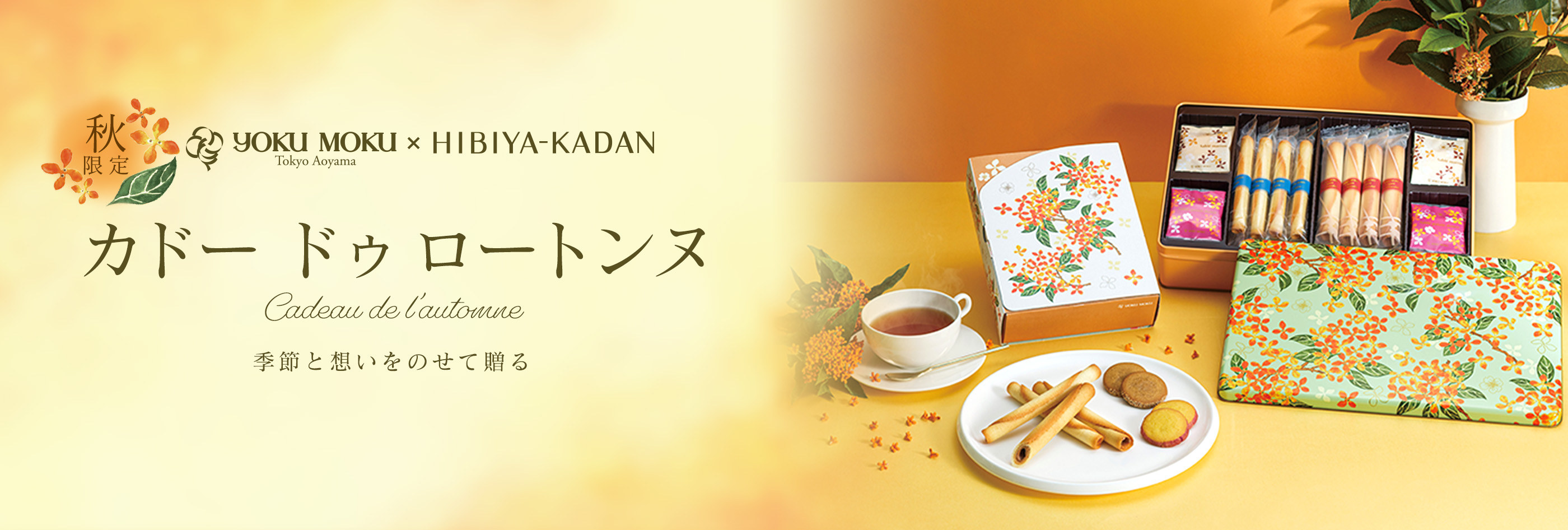 2個セット ローヤルゼリー サロンドフルベール化粧品 クラブ 