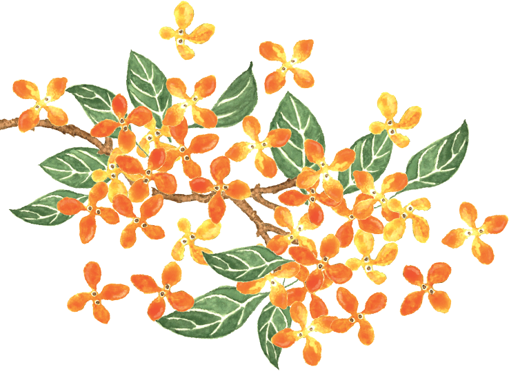 パッケージイラスト
