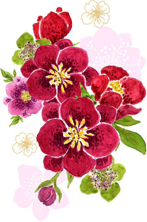 パッケージイラスト