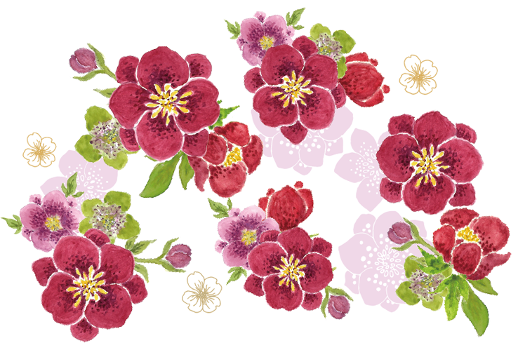 パッケージイラスト