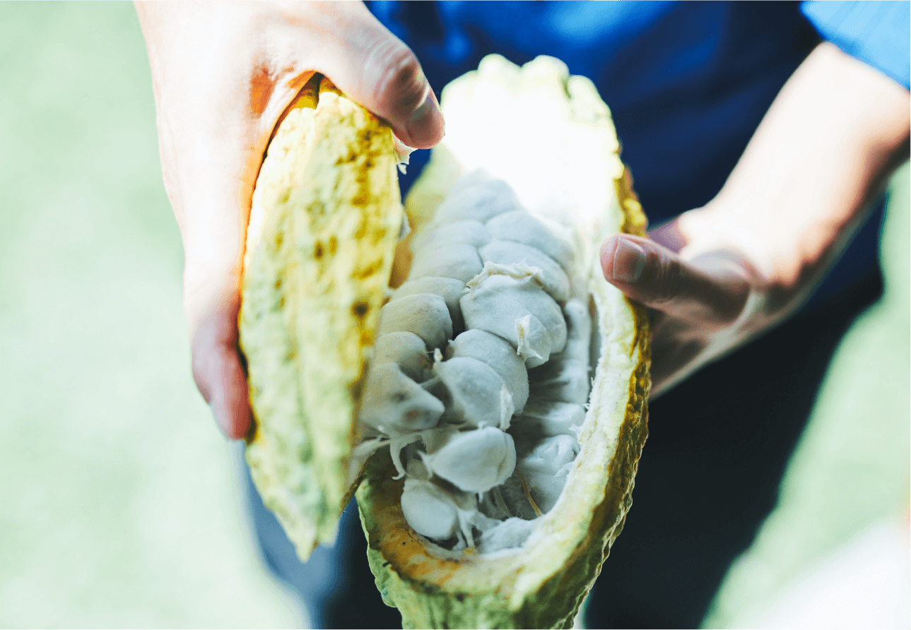 人生を豊かにするチョコレート